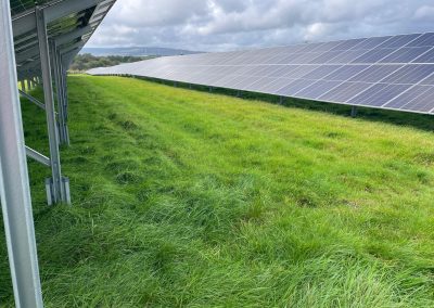 BRYNGOLWG, SOUTH WALES – UK SOLAR 