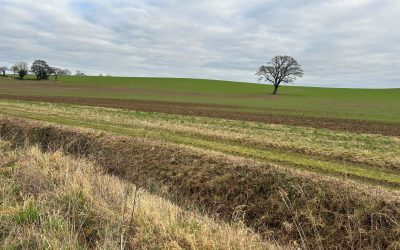 Warwickshire council goes against planning officers and turns down major solar farm on the day Labour’s chancellor promises new planning reforms