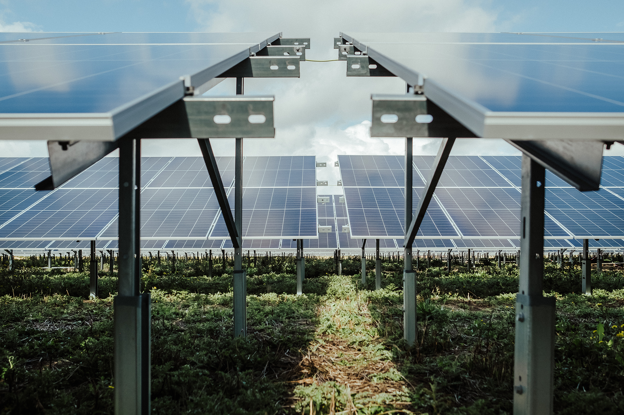 01-Integrated-Renewable-Solutions.png-(resized)