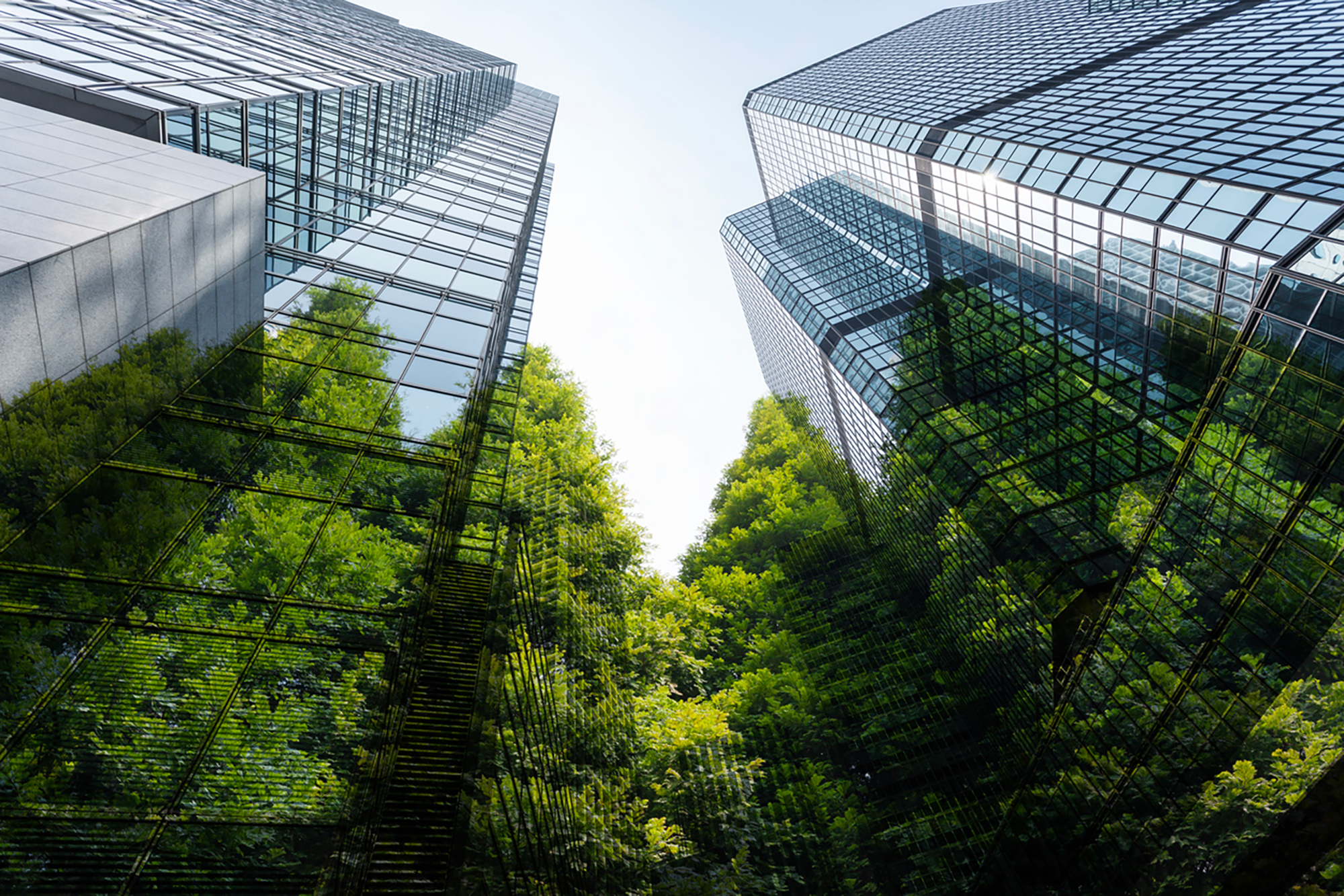 01-Securing-Sustainable-Energy-Supply-Contracts-(resized)