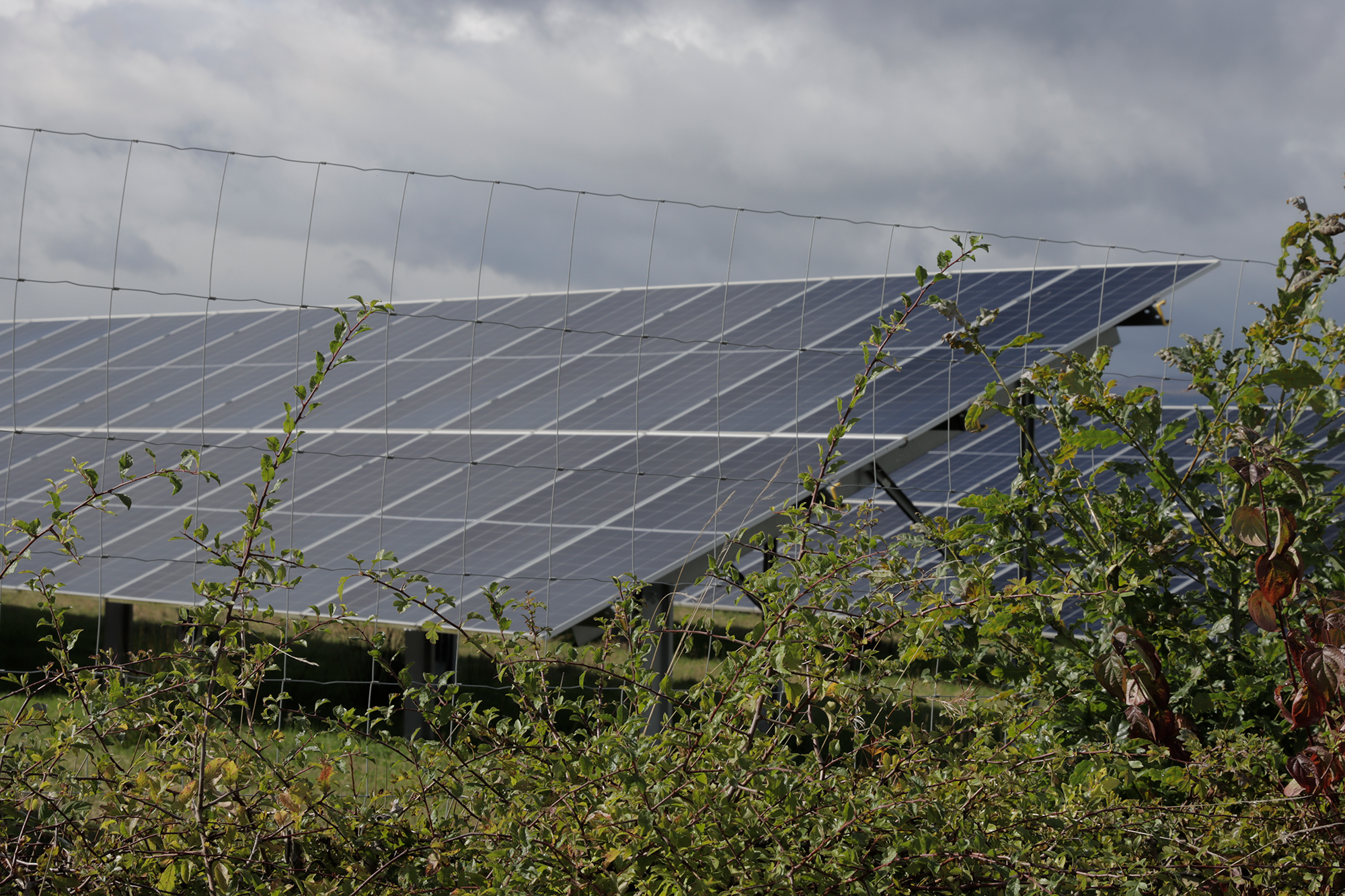 05-Sustainable-Practices-and-Environmental-Responsibility-(resized)