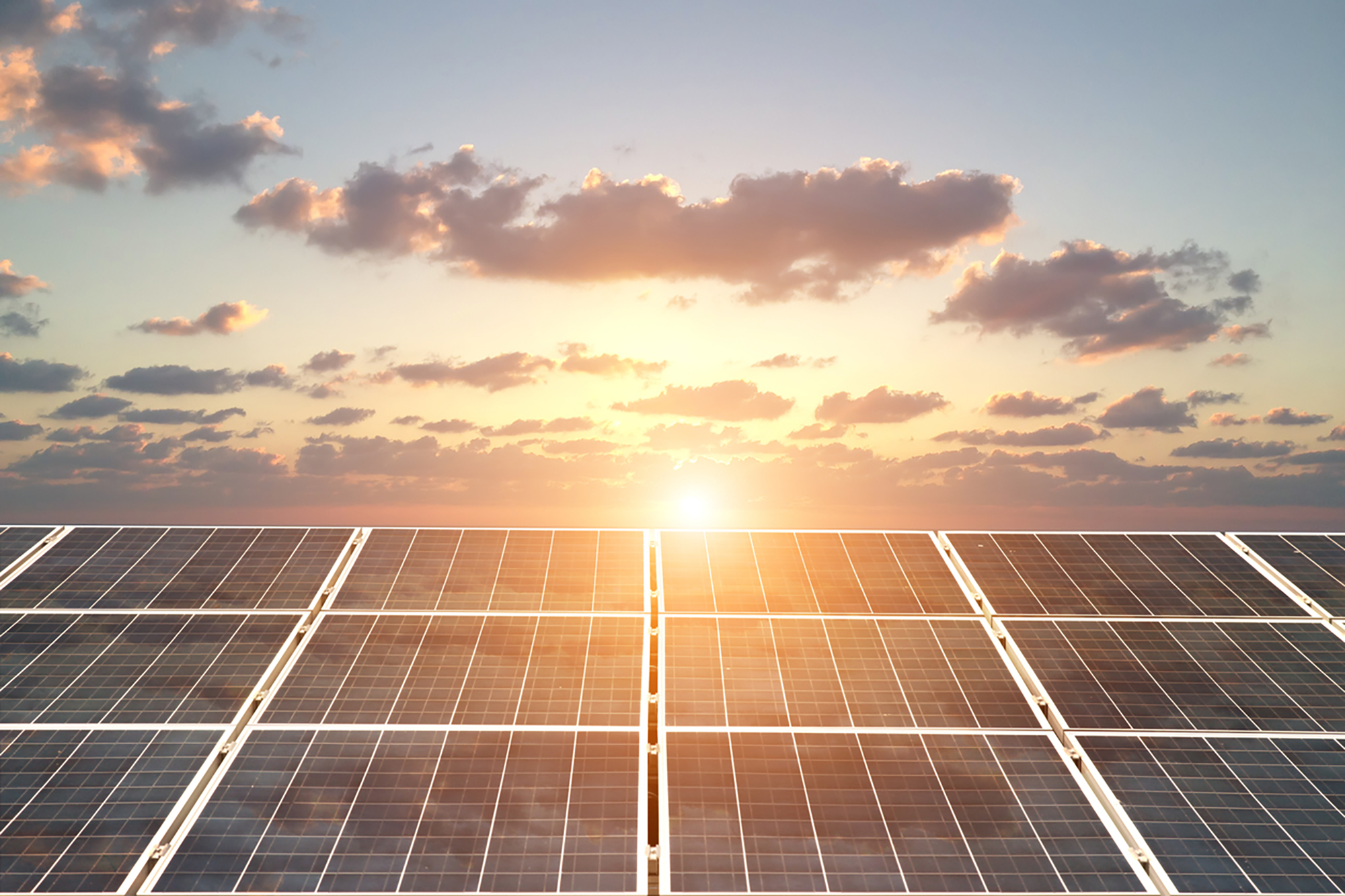06-Working-together-for-a-sustainable-future-(resized)