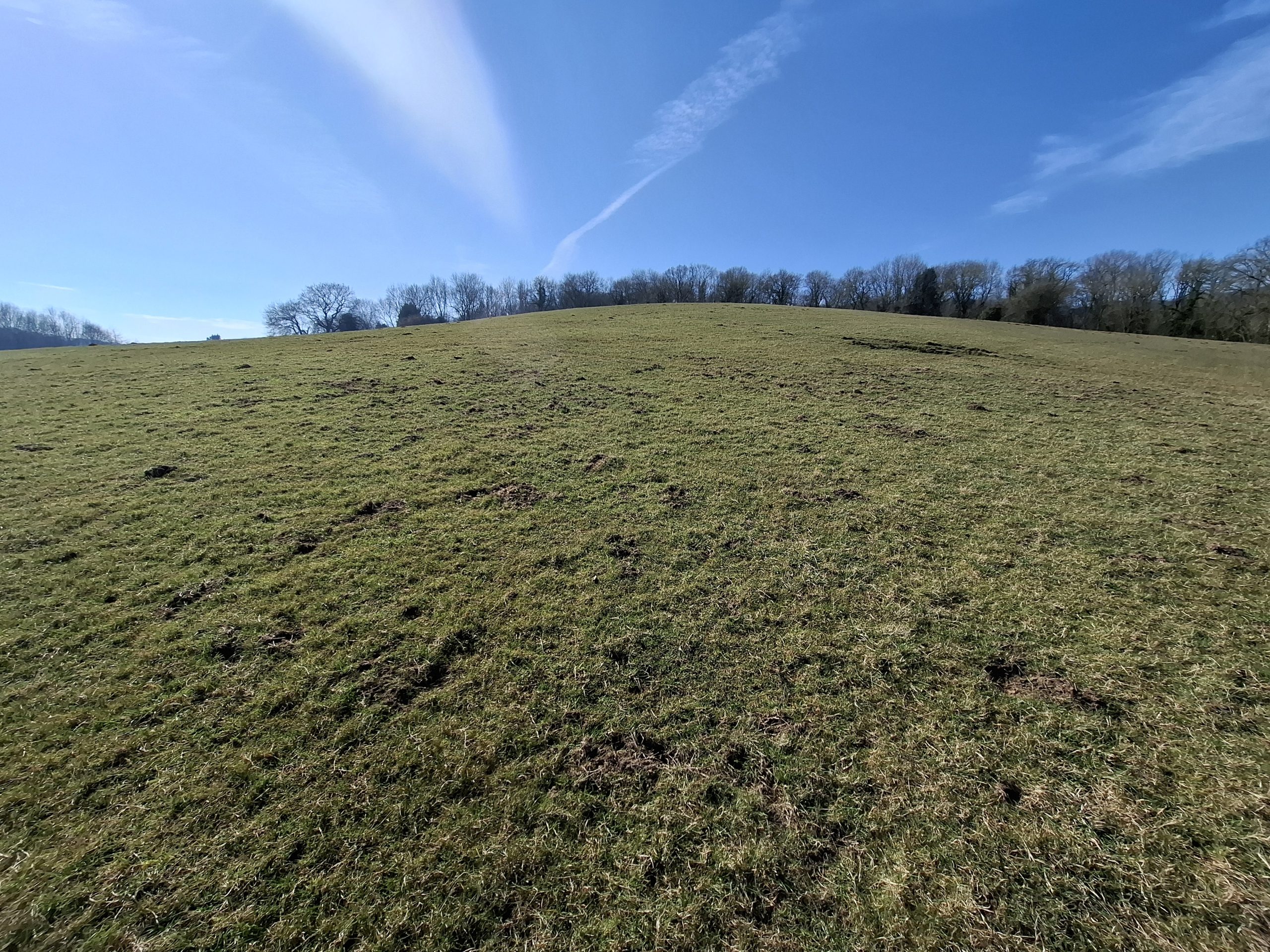 land-owner-engagement