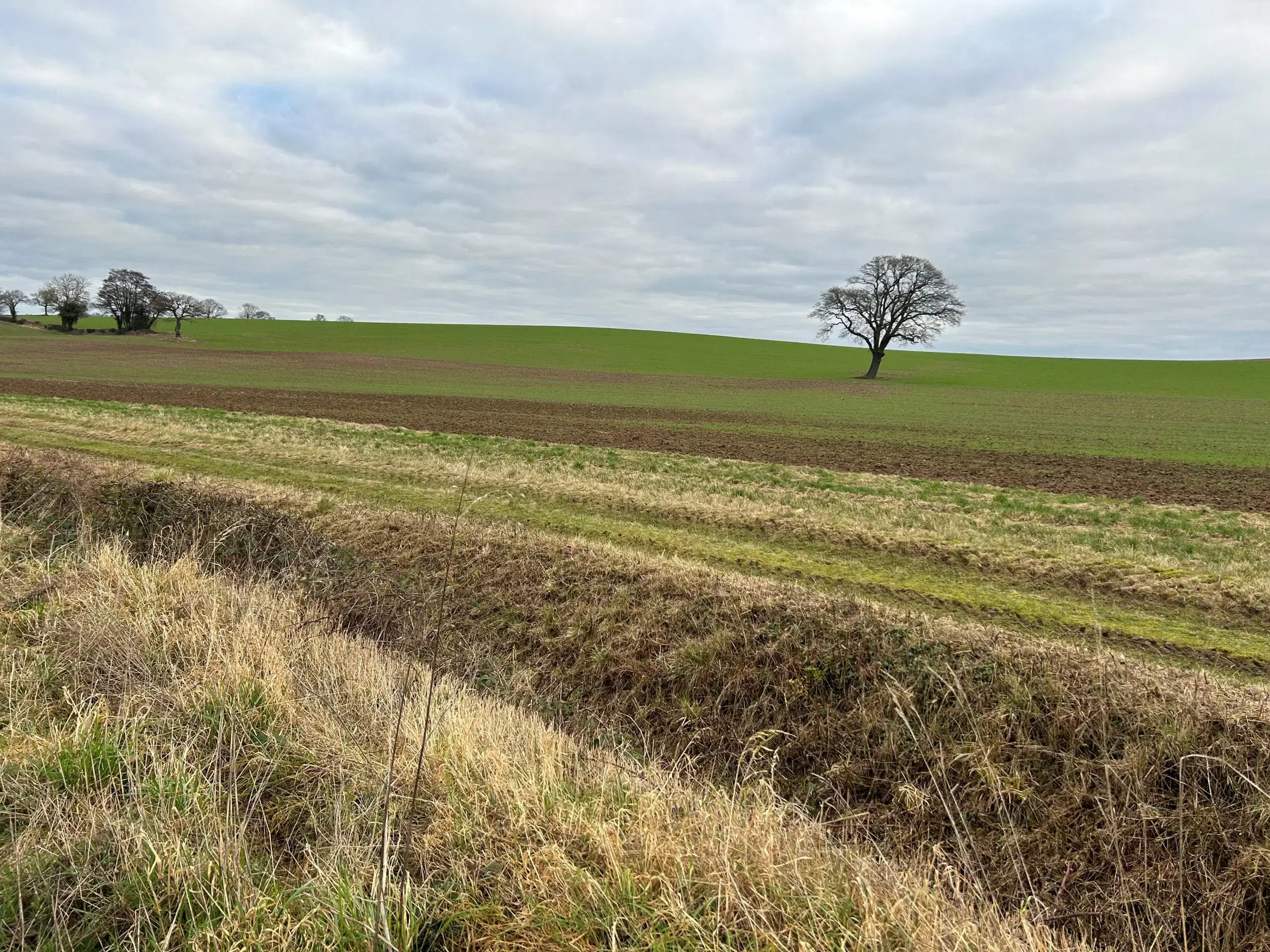 Solar-farm-proposed-site-scaled-1